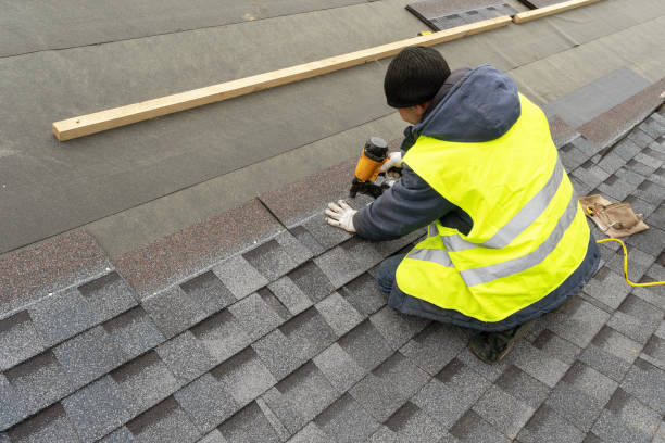 Sealant for Roof in North Branch, MI