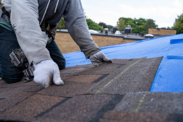 Gutter Installation and Roofing in North Branch, MI