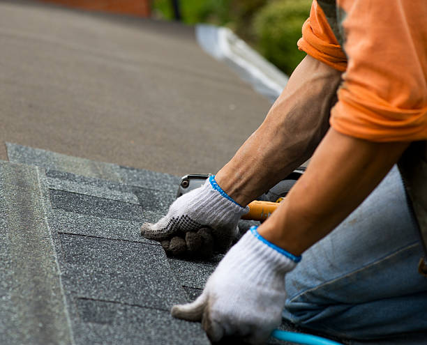 Best Roof Leak Repair  in North Branch, MI