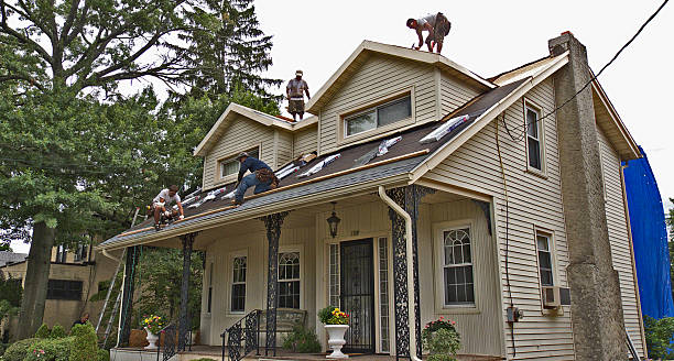 Best Local Roofing Companies  in North Branch, MI