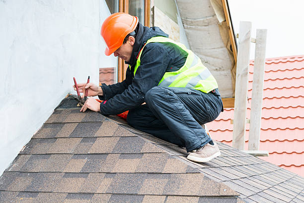 Best Flat Roof Repair Services  in North Branch, MI