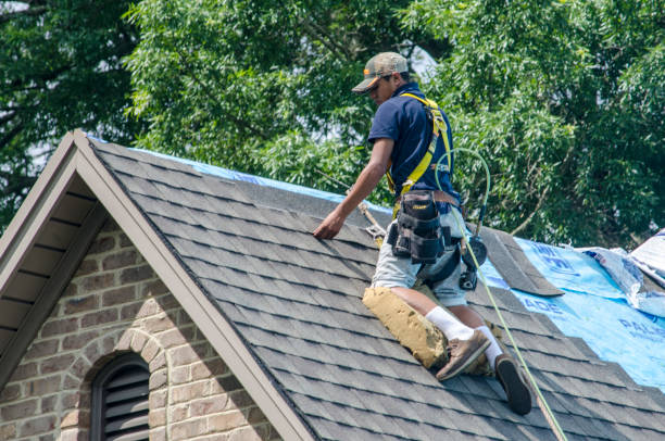 Best Residential Roofing Contractor  in North Branch, MI
