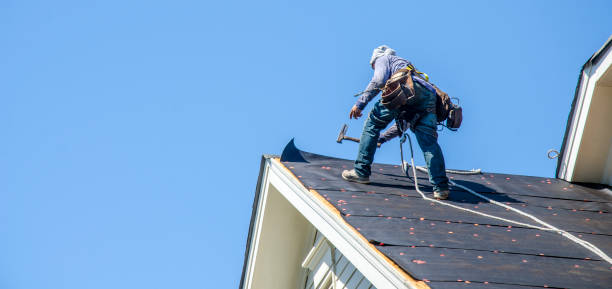 Best Gutter Installation and Roofing  in North Branch, MI